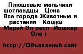 Плюшевые мальчики шотландцы › Цена ­ 500 - Все города Животные и растения » Кошки   . Марий Эл респ.,Йошкар-Ола г.